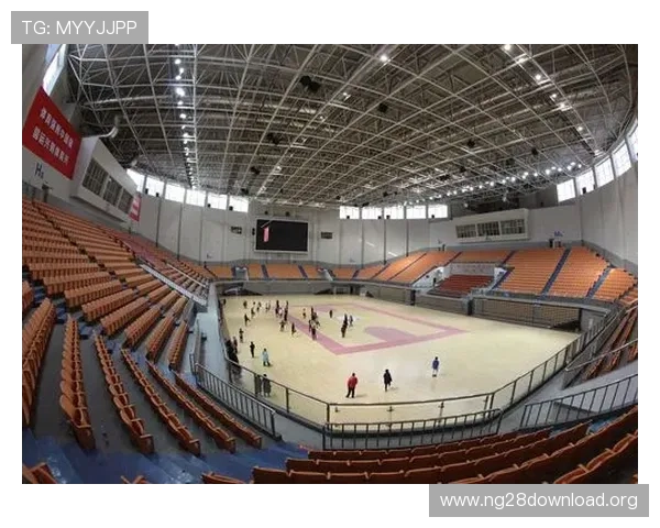 南宫体育馆场馆设施详细介绍,满足不同运动需求的专业场馆环境